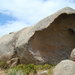 Victor Harbor & Granit Island