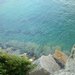Watsons Bay