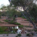 Alice Springs
