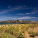 Victor Harbor - фотоотчет - Granite Island