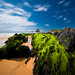 Sapphire Coast