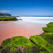 Turimetta Beach