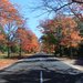 Частные сады в Mt. Macedon