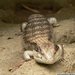 Какие горы голубые