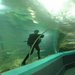 Oceanworld Manly. Барбекю.