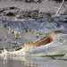 East Alligator River Region