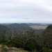 Bunya Mountains NP, часть 2