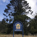 Bunya Mountains National Park
