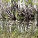 Litchfield NP. Termites Moulds.