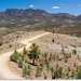 Flinders Ranges