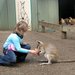 Featherdale Wildlife Park