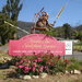 Bruno's Garden in Marysville