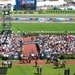 Melbourne Cup - 2009