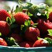 Strawberry Fields Forever