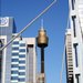 Sydney - IV