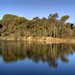 Thorndon Park