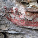 Bardedjilidji Sandstone