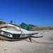 Остров, на котором не водятся кенгуру