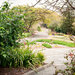 Botanic Gardens