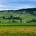Barossa Valley