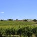 Barossa Valley