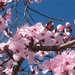 Handorf или по дороге на Barossa Valley