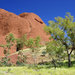 Our trip to ULURU: The Olgas (Kata Tjuta)