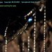 Glow Worm Tunnel
