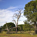 Point Cook Coastal Park