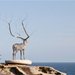 Sculptures by the Sea
