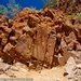 Священный Каньон, Национальный парк Flinders Ranges