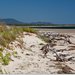 Рождественская поездка. Shallow Inlet