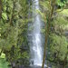Erskine Falls in Lorne