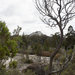 Girraween NP. The Pyramide.