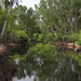 Mataranka
