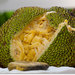 Exotic Fruit Farm
