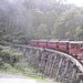 Puffing Billy — скатертью, скатертью дальний путь стелется...