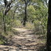 Muogamarra Nature Reserve
