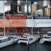 Sydney - IV. Aquarium