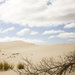 Little Sahara (остров Кенгуру)