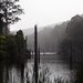 The Great Ocean Road. Lake Elizabeth. Cape Otway