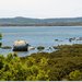 Рождественская поездка. Wilsons Promontory – 2