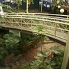 Фотография отеля Mayfair Plaza Motel Hobart