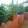 Фотография отеля City Palms Motel Brisbane
