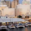 Фотография отеля Four Points By Sheraton Hotel Darling Harbour Sydney