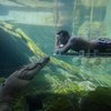 Фотография отеля Value Inn Darwin