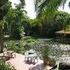 Фотография отеля Rydges Oasis Resort Caloundra