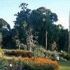 Фотография отеля Albert Park Manor Boutique Hotel Melbourne