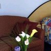 Фотография отеля Comfort Inn Scotty's Adelaide