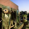 Фотография отеля Majestic Roof Garden